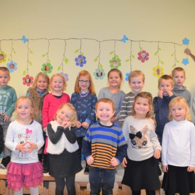 schmetterlinge 2017 schmetterlinge 2017